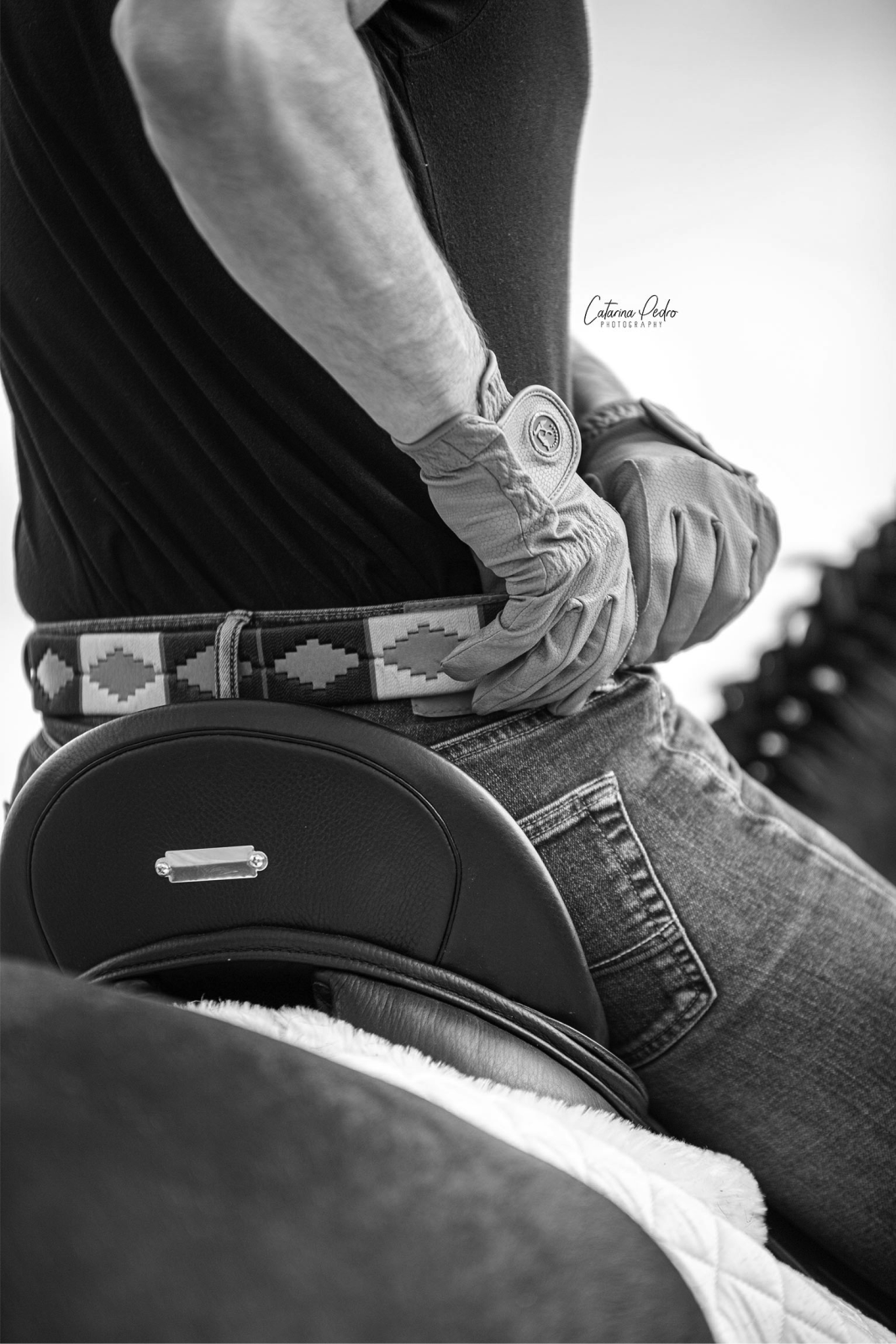 POLO BELTS